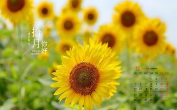 销售10月份工作总结5篇
