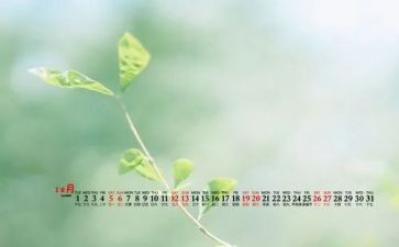 12月记作文8篇