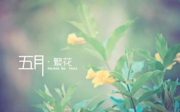 小班5月份工作总结5篇