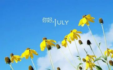 6月销售工作总结7篇