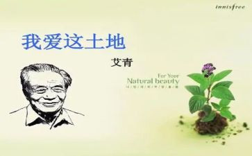 艾青树读后感通用6篇