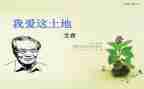 艾青树读后感模板6篇