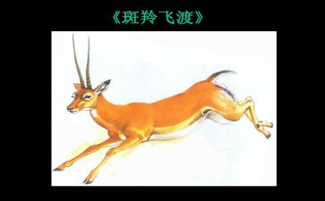 斑羚飞渡心得体会7篇
