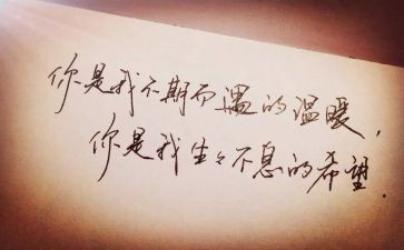 与温暖不期而遇作文800字8篇