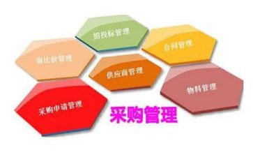 2024年采购年度总结7篇