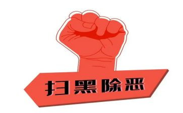 扫和除恶工作个人总结7篇