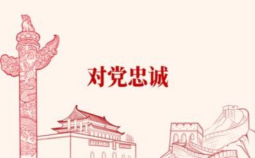 党支个人总结通用6篇