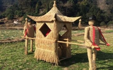 读《稻草人》心得体会模板6篇