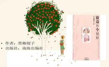 丢三落四的小豆豆读后感5篇