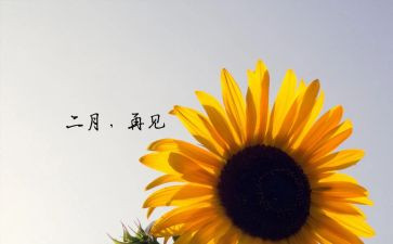 幼儿园二月份工作总结7篇