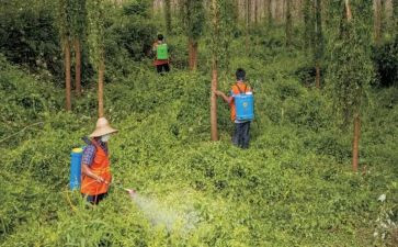 艾滋病防治宣传活动总结7篇