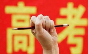 器高考作文模板6篇
