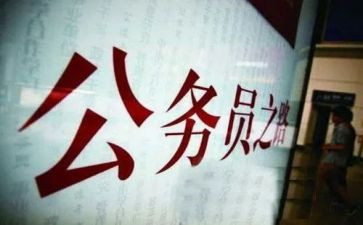 公职律师总结年度总结8篇
