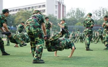 观训心得体会400字最新5篇