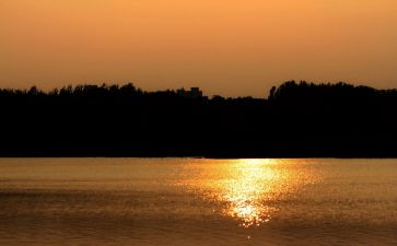 春的怀念作文推荐7篇