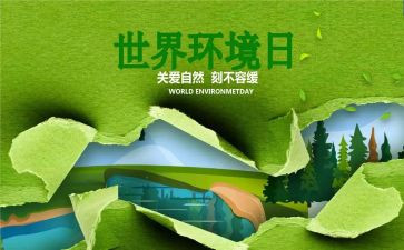 环境日主题活动总结5篇