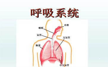 呼吸科的自我鉴定优秀8篇