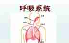 呼吸科的自我鉴定优秀8篇