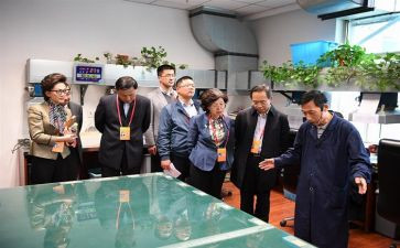 社区监委会年终工作总结通用8篇