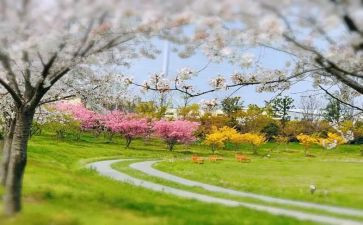 收获季节作文8篇