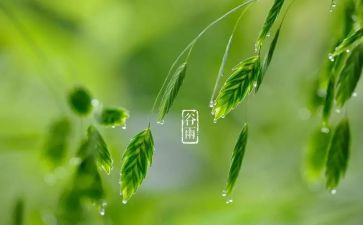 大班语言节气教案8篇