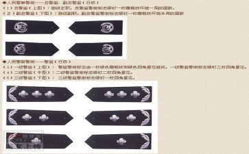 警衔晋升培训心得7篇