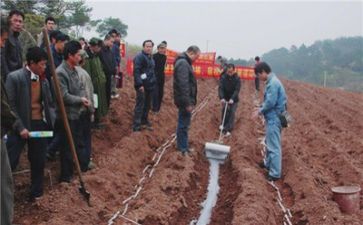 2024技术部个人总结范文5篇