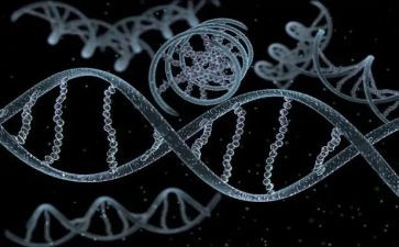 传承红色基因作文6篇