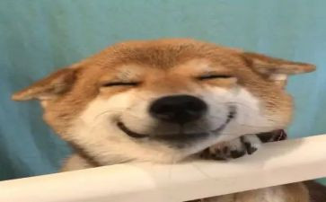 我就开心作文500字8篇