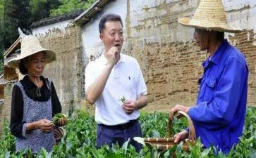廖俊波微心得体会8篇
