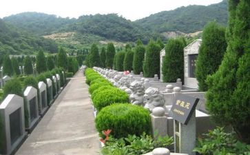 2024年参观烈士陵园活动方案7篇