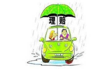 2024年保险理赔工作总结最新6篇