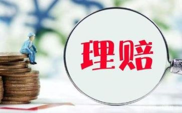 理赔年终总结最新7篇