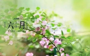 幼儿园六月份工作总结7篇