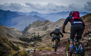 亚历险记读后感推荐6篇