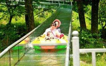 亚历险记读后感参考6篇