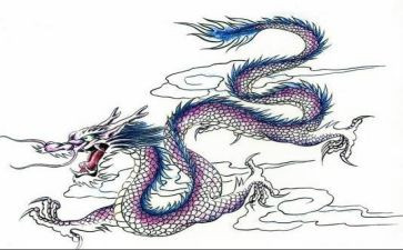有关龙的演讲稿参考8篇