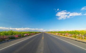 观看《路》心得体会5篇
