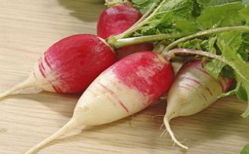 拔萝卜语言课教案通用6篇