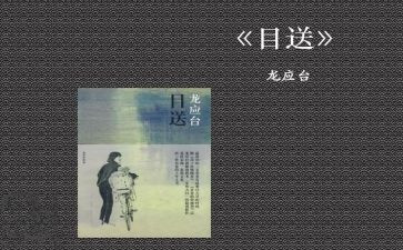 《目送》600字读后感5篇