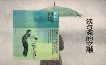 龙应台的目送读后感7篇