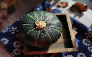 南瓜花教学反思6篇