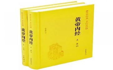 内经藏象心得体会6篇