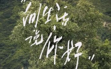 小班语言嗨你好教案6篇