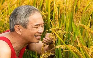 《农夫与蛇》的读后感通用5篇