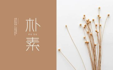 朴素的爱作文8篇