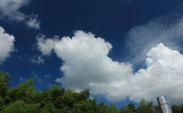 晴天的作文最新5篇