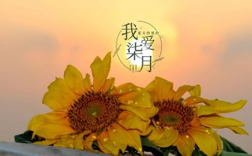 七月的风作文8篇