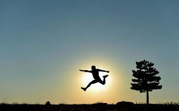 青芥人生读后感优秀5篇