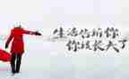 人生,读后感8篇